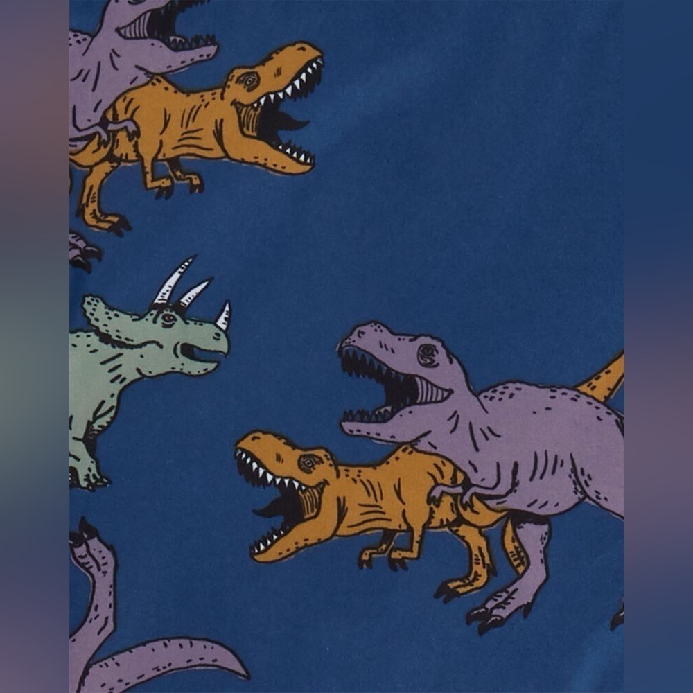 Carter’s fleece lined dinosaur jacket - Picture 3 of 5